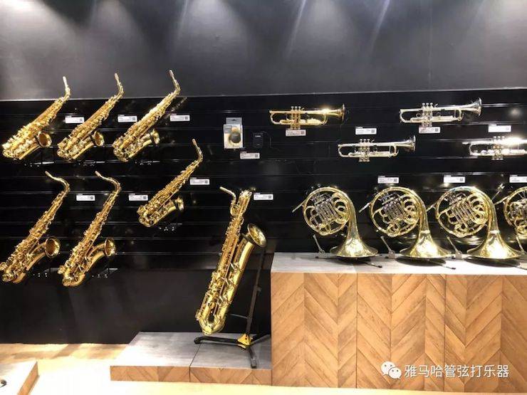 韦德1946乐器 试奏乐器